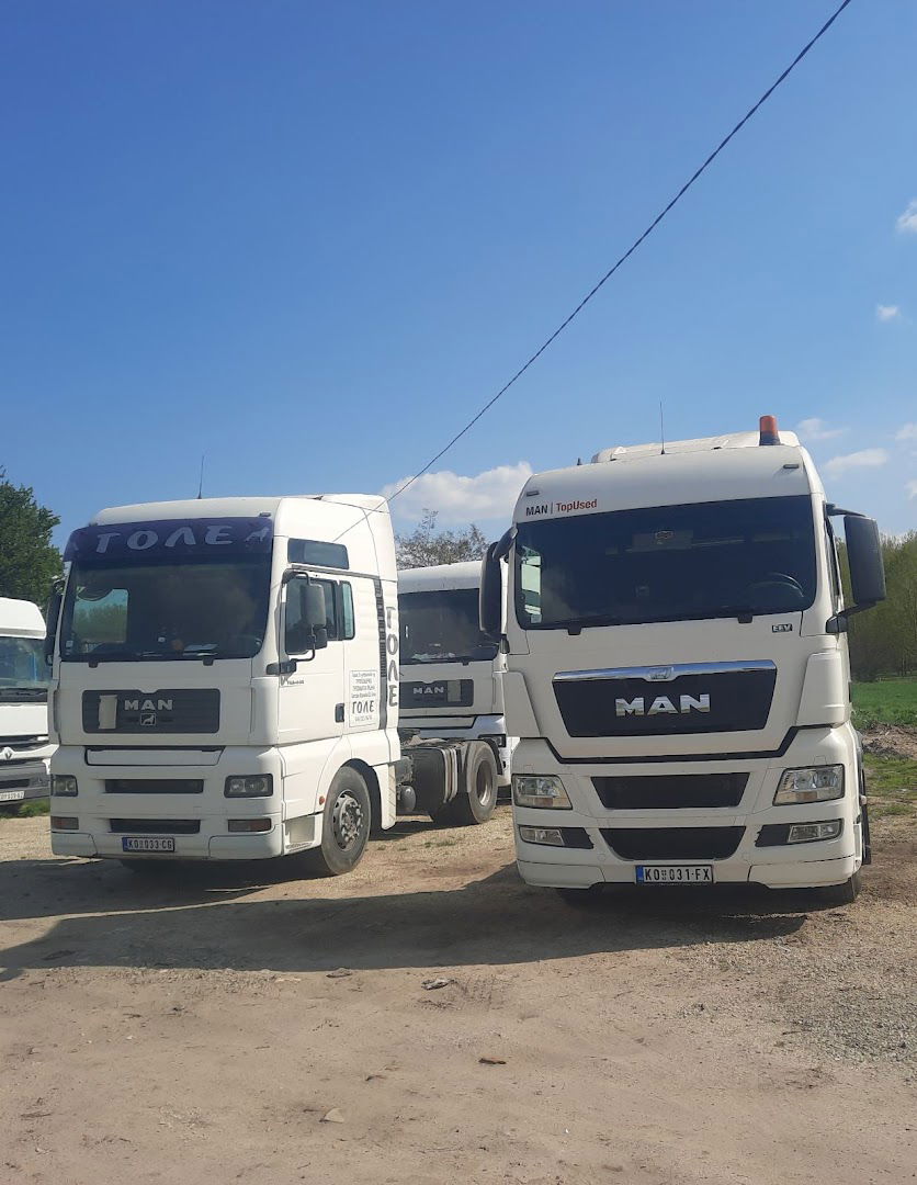 Truck servise Dimitrijevic