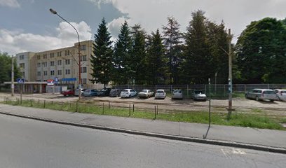 Železnička stanica Rakovica