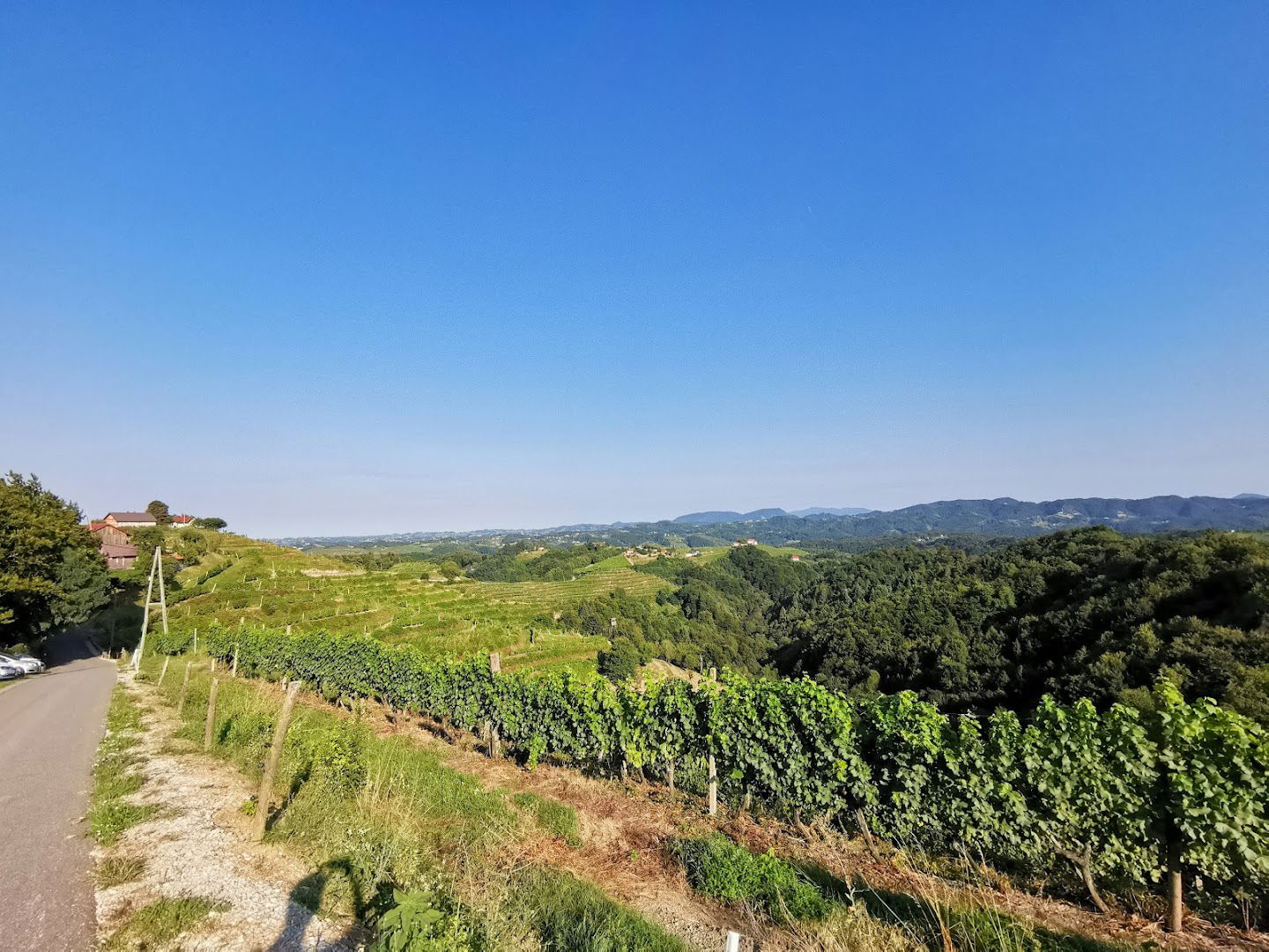 Viničarski muzej in etnografska zbirka