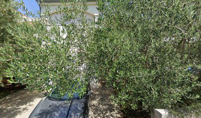 Apartment And Room Doda