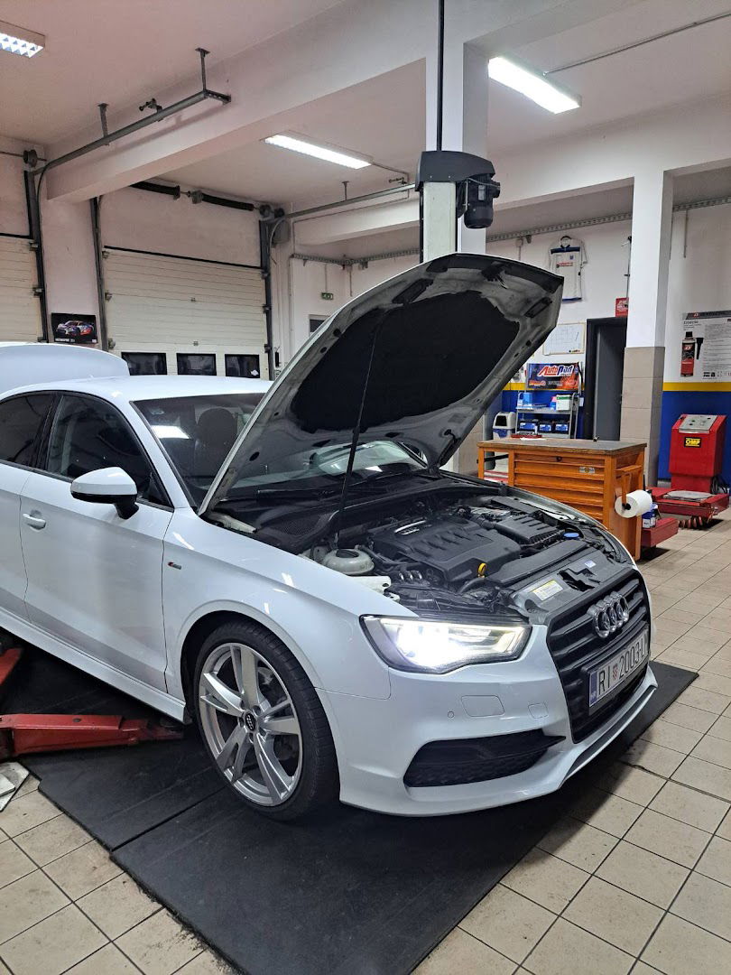 AUTO SERVIS "DARIETTO"