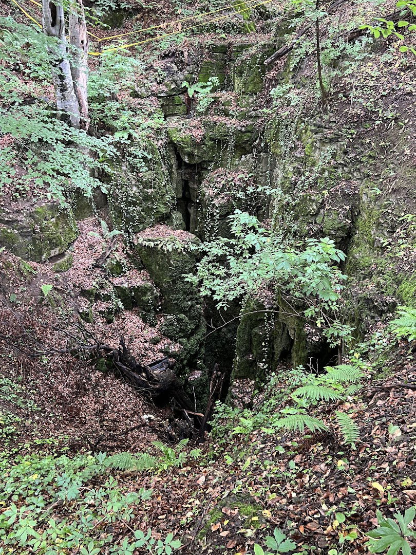 Рајачка јама