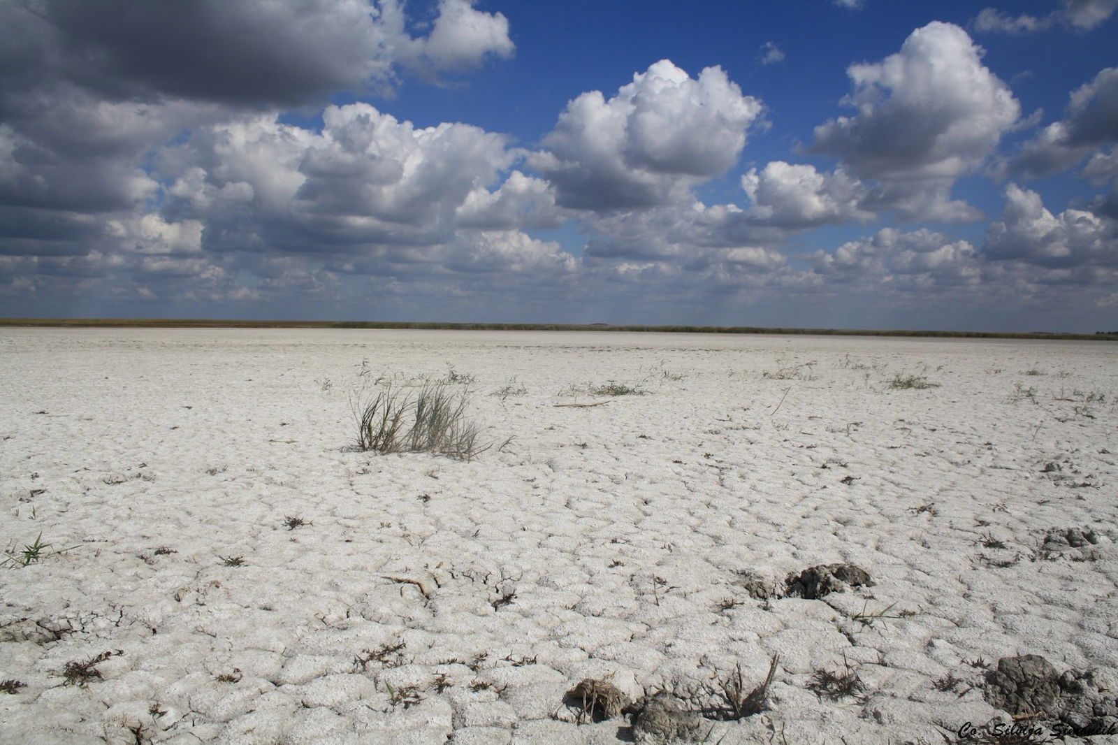 Special Nature Reserve Slano Kopovo