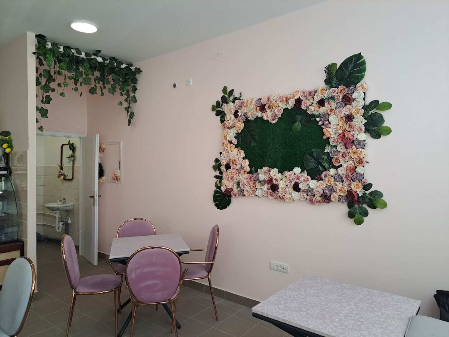 Slatka kuca Katarina