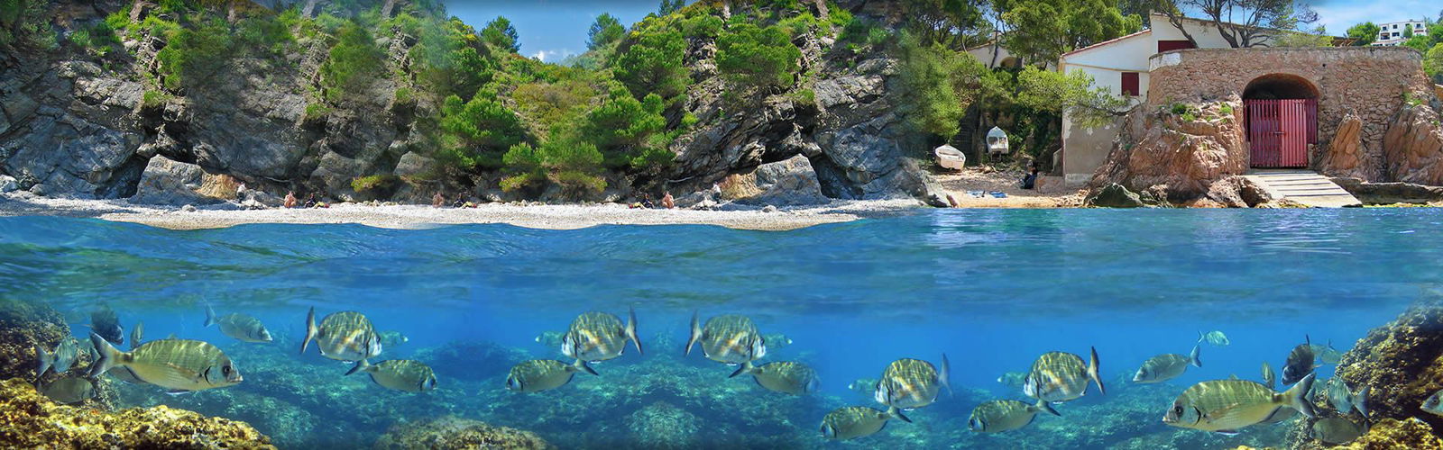 Open Water Croatia