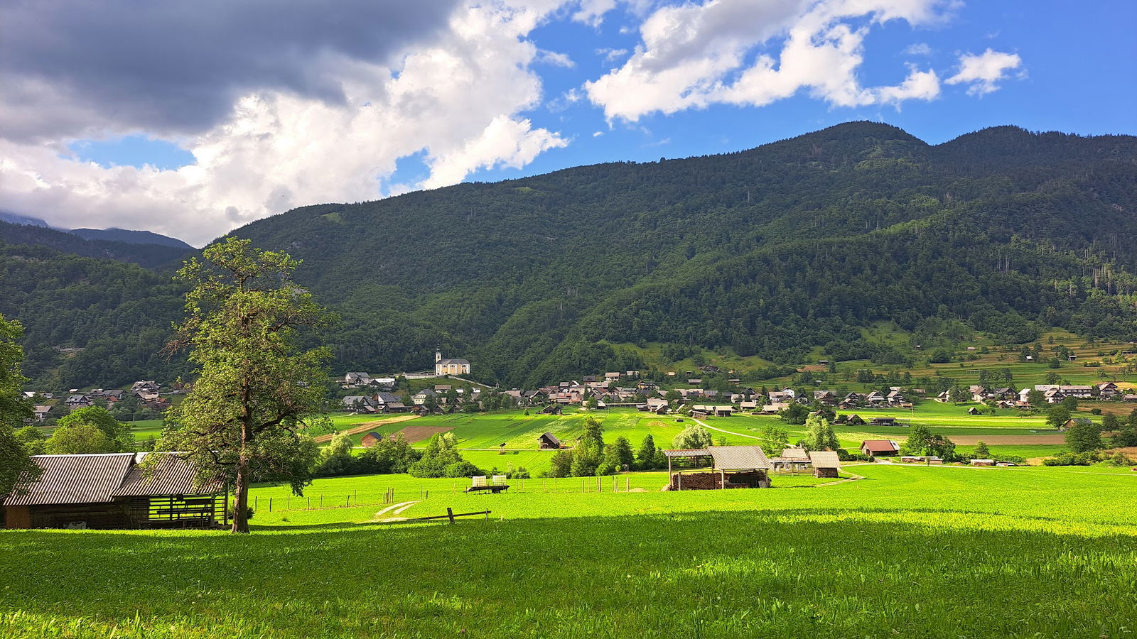 Župnija Srednja vas v Bohinju