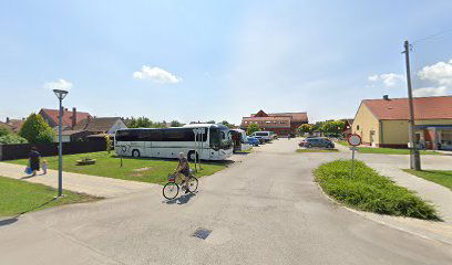 bőrgyógyász szakorvos