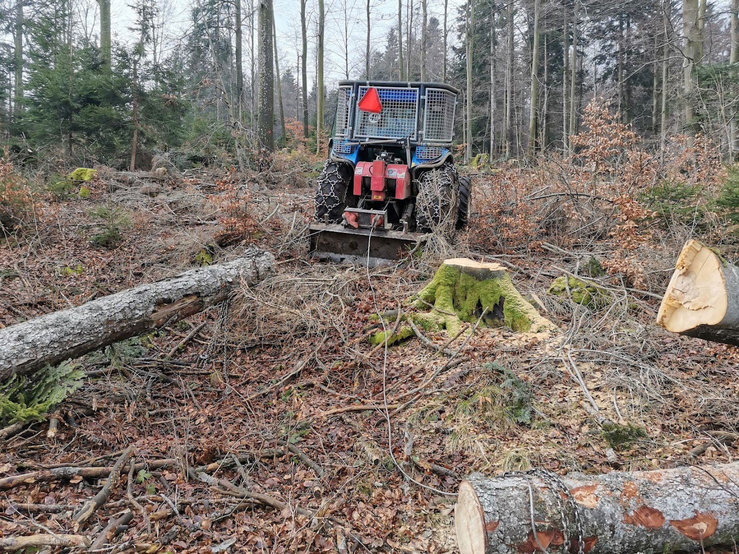 Posek in spravilo lesa Peter Bečaj s.p.