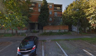 Sretena Mladenovića Mike 7