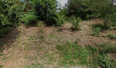 Letovčan Novodvorski cemetery