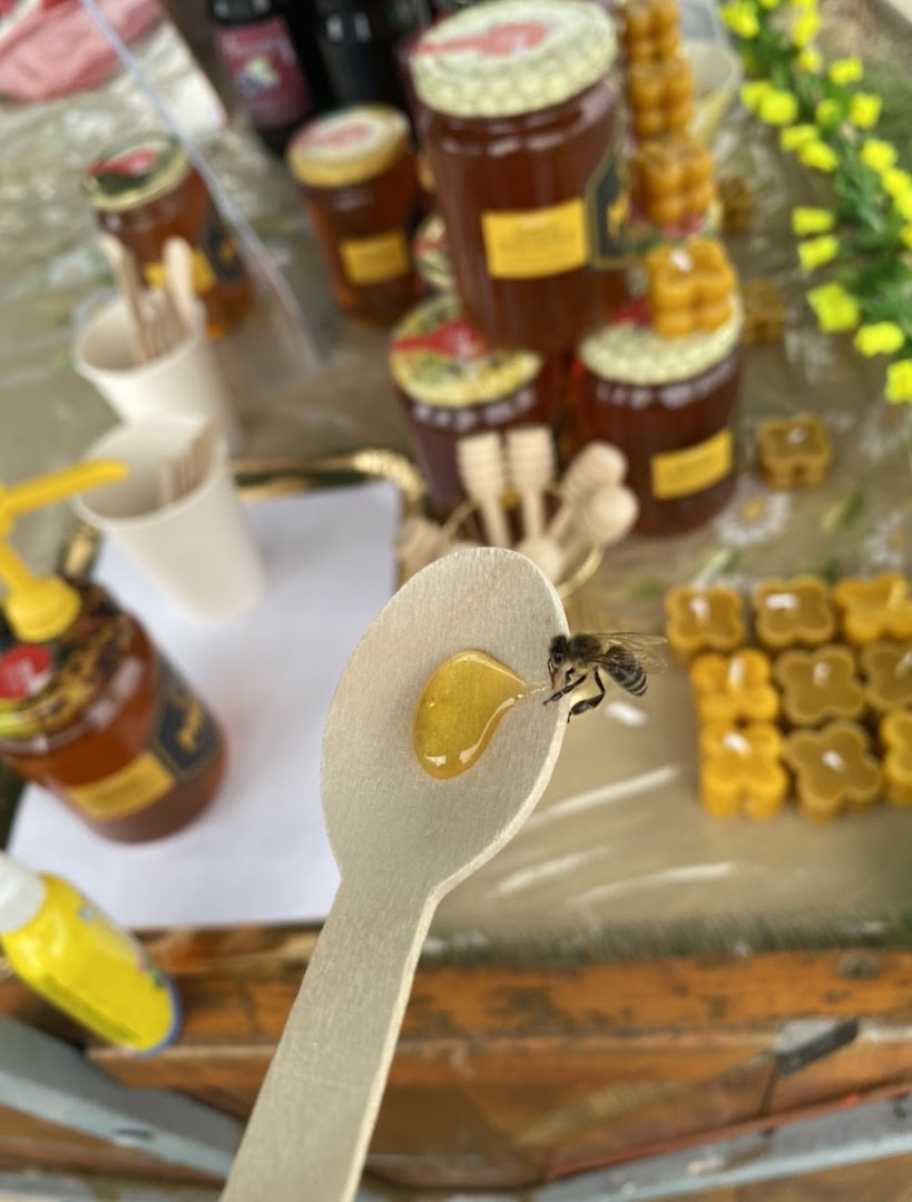 Pčelarstvo Opg Galović Virovitica