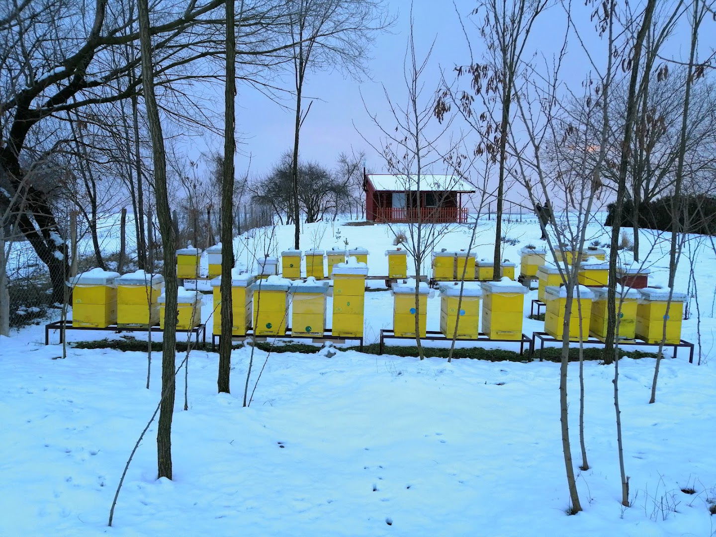 Pčelinjak Kovač - prodaja prirodnog meda