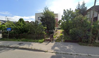 ŠEMPER BRANKO, dipl.iur.