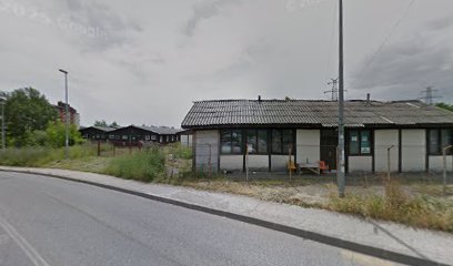 Nedeljka Gvozdenovića