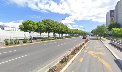 DOMOVINSKOG RATA - KOCUNAR 3