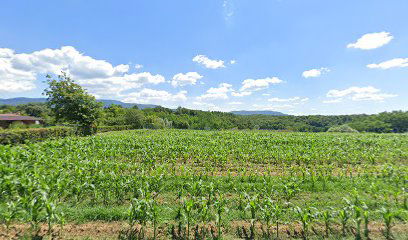 Seničić Transport parking