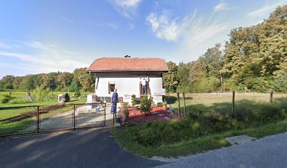 Hiša vina - Jonatan Edward Goodridge Rees - Sobodajalec