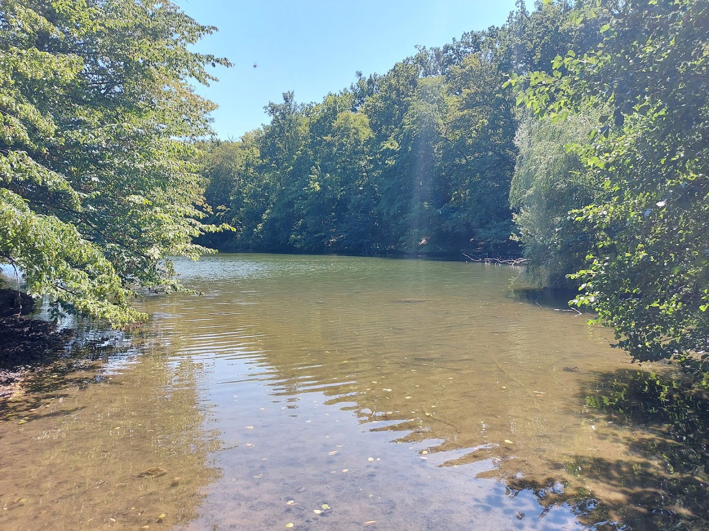 Treće maksimirsko jezero