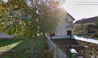 Metal Sistem Petrovic