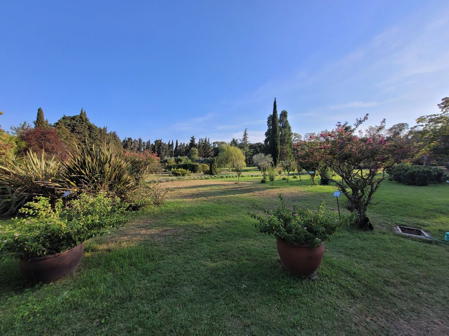 Mediterranean Garden