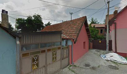 Kombi Prevoz Zoran Petrovic PR Beograd (Zemun)