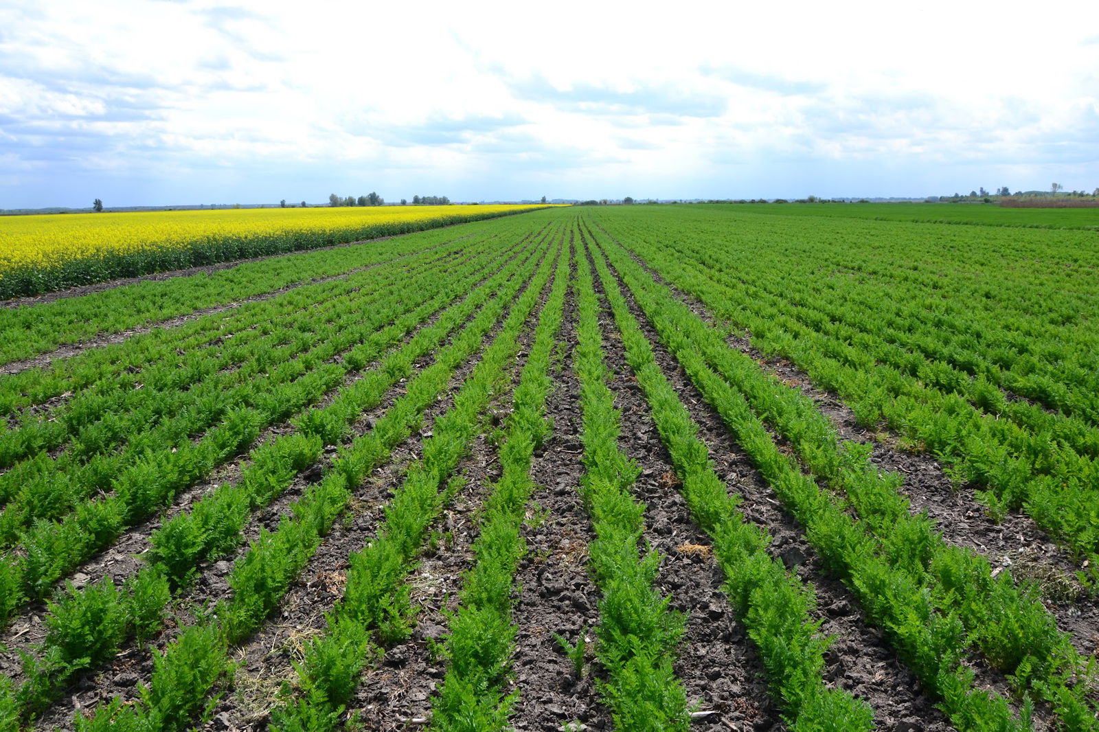 Herba d.o.o Warehouse