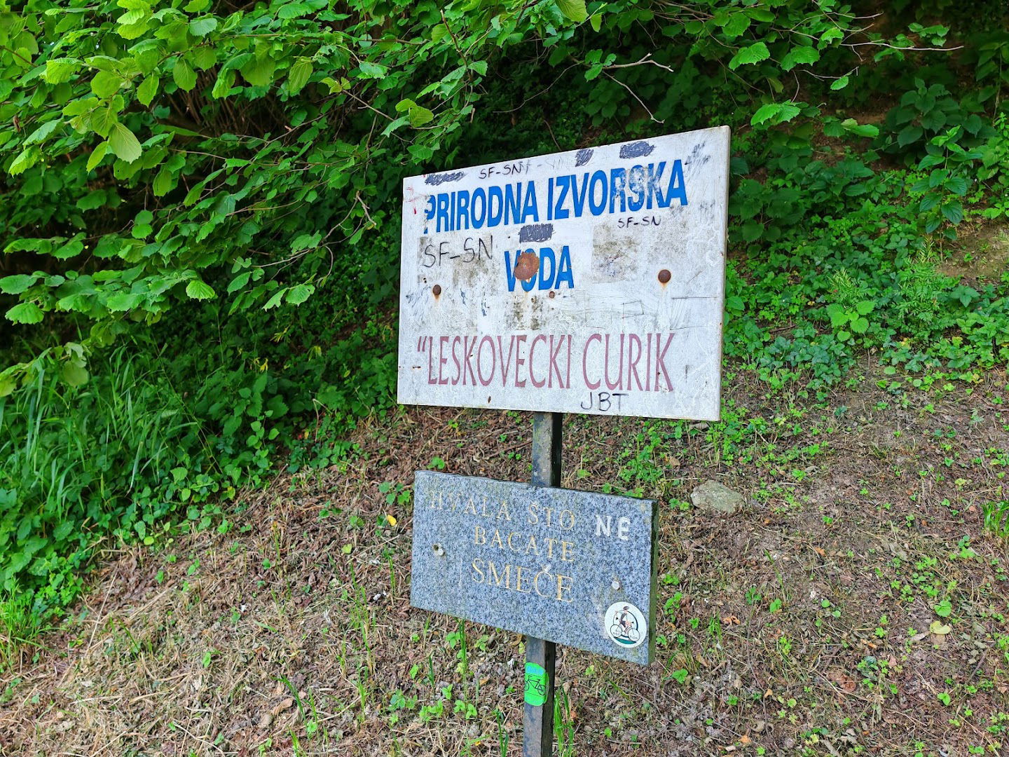 Izvor Leskovečki Curik