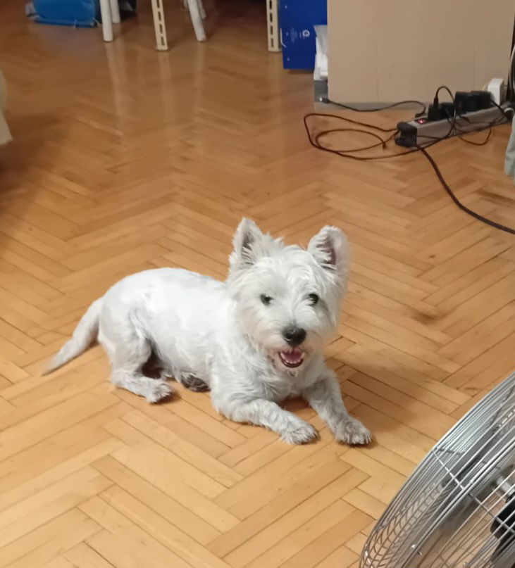 Veterinarska ambulanta Vet Point