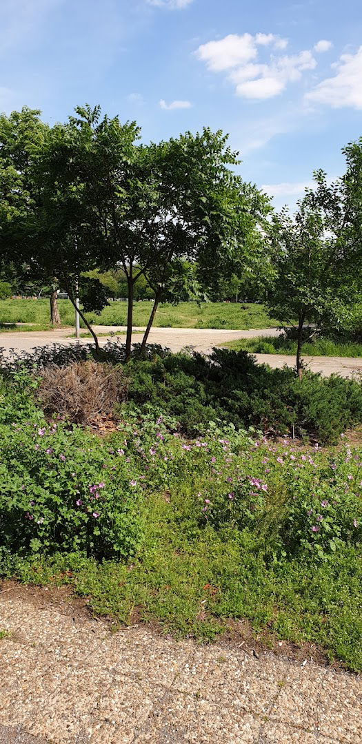 Šetalište "Lazaro Kardenasa"