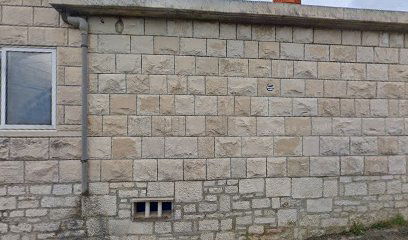 Olive farm Island Brac