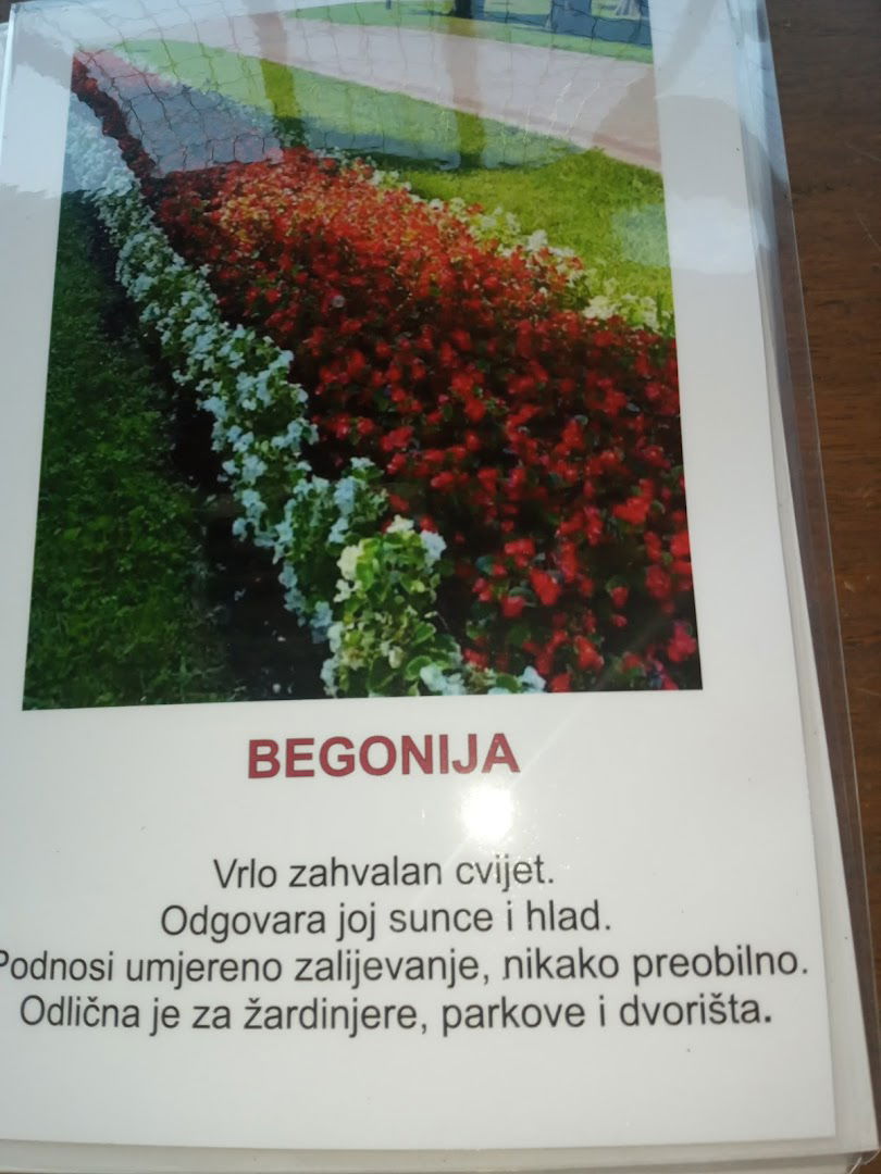 Rasadnik sadnica cvijeca i povrca