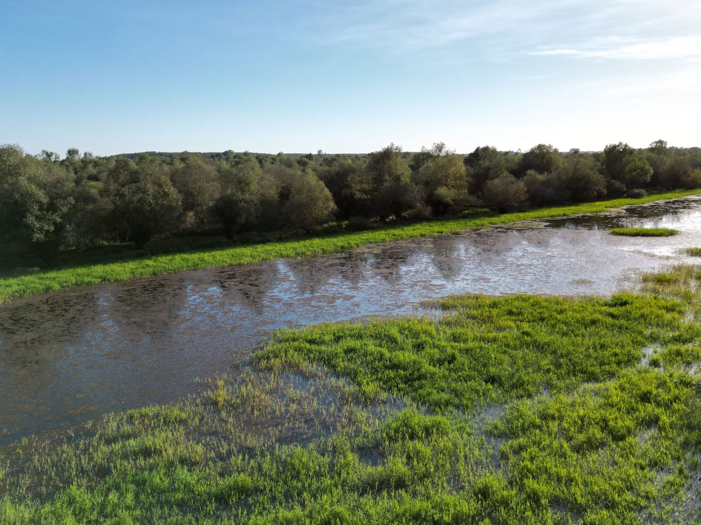 Oaza prirode Belegiš