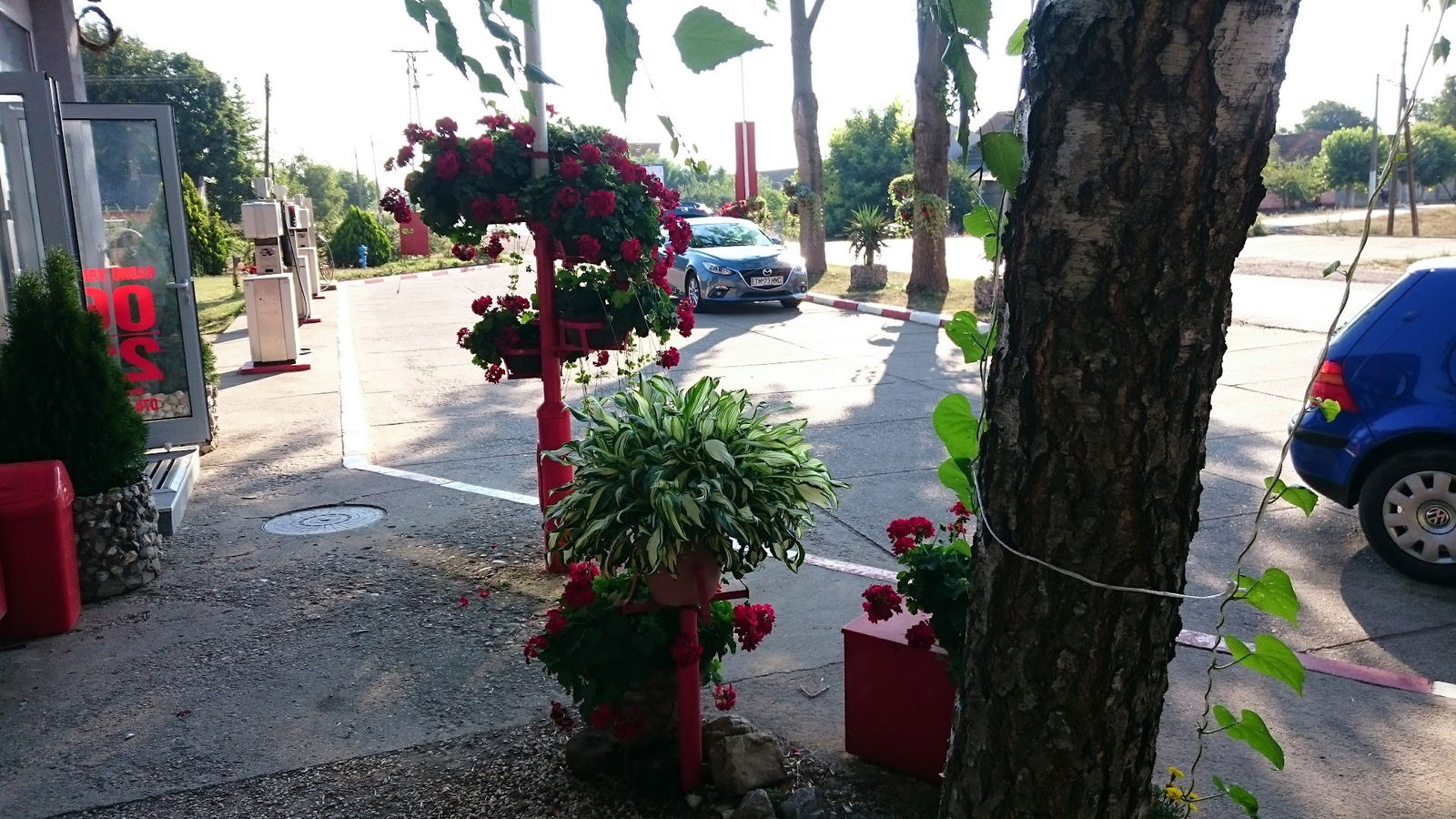 Gas Station Jasenovo