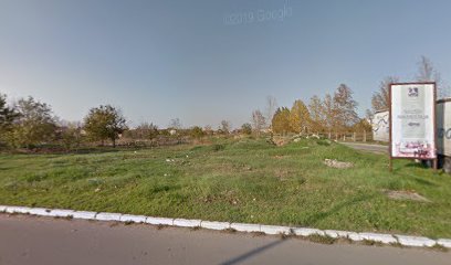 Преподобна мати Ангелина