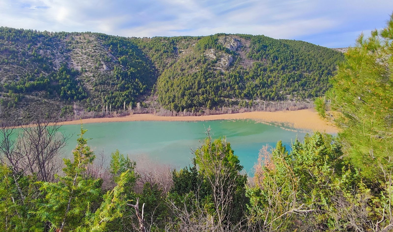 Tributary Cikola into Krka