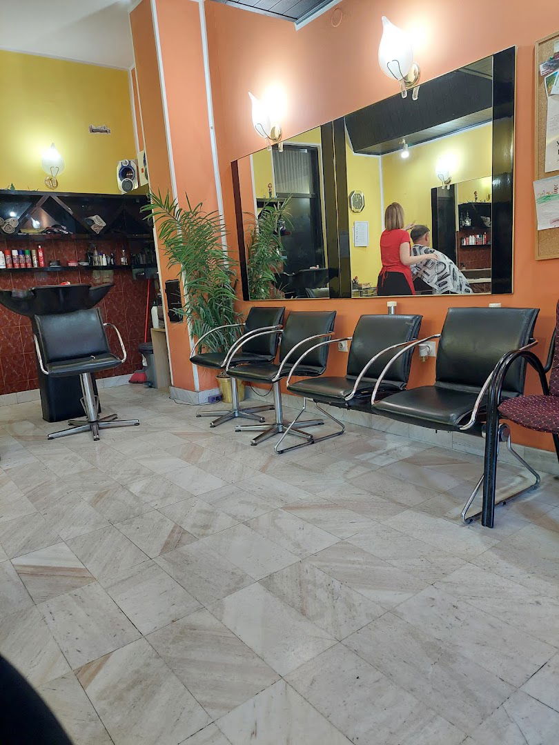 frizerski Salončić