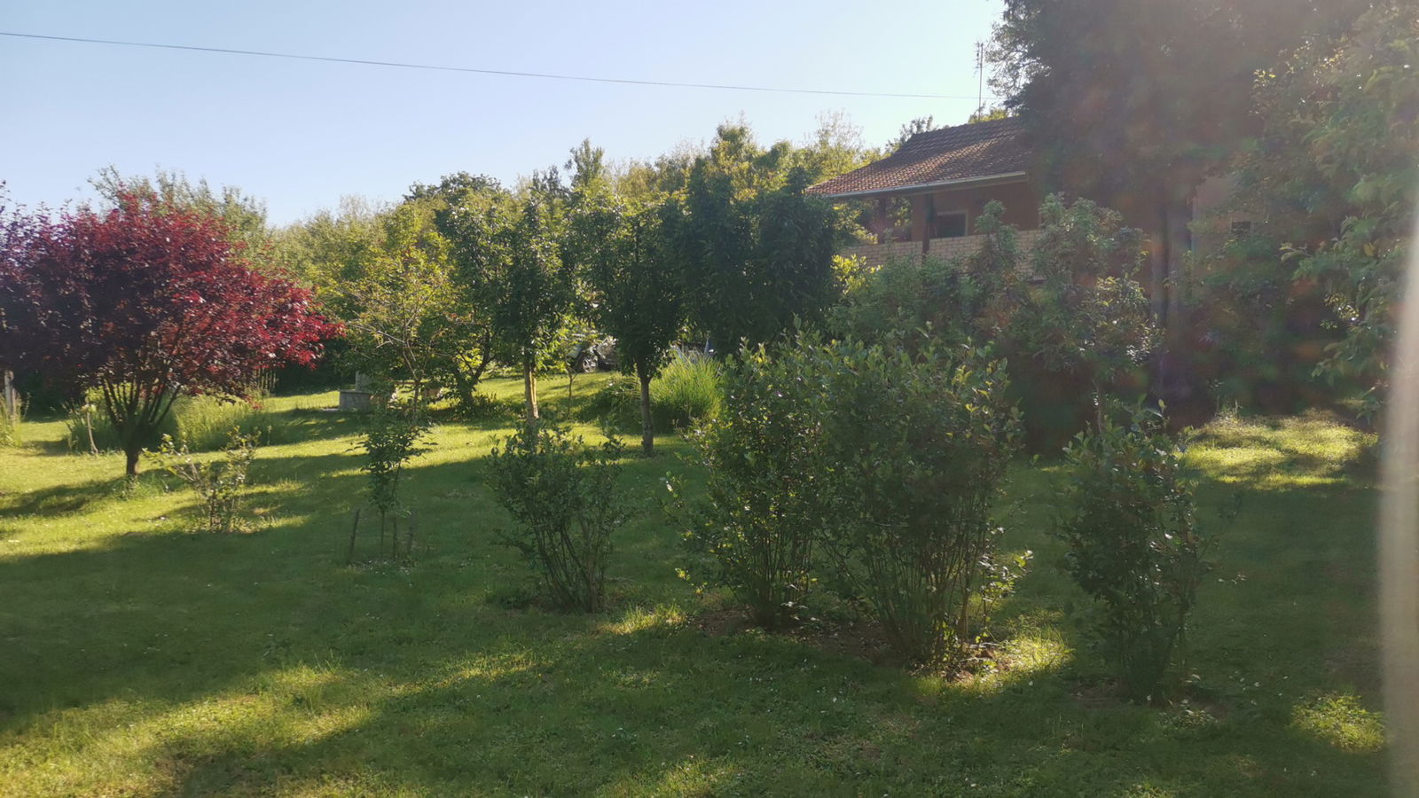 Српска православна црква Светог Димитрија