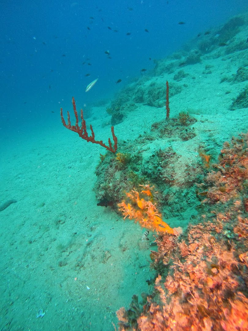 Koraljni Greben lanterna S.Petar