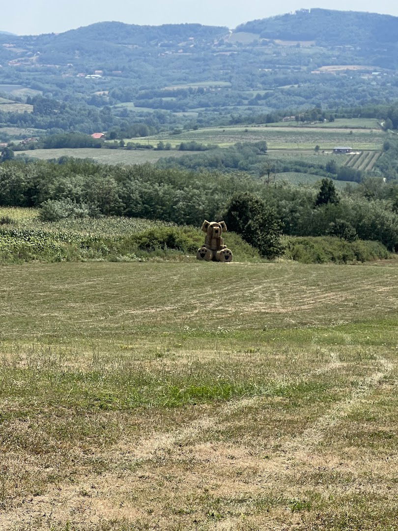 Tribali Centar Orašac