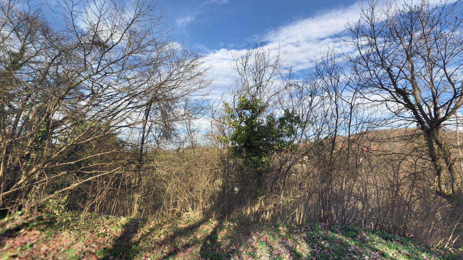 Vugrovečka-Grljakova