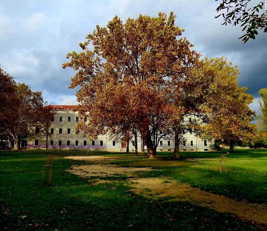 Franciscan Grammar School of Sinj