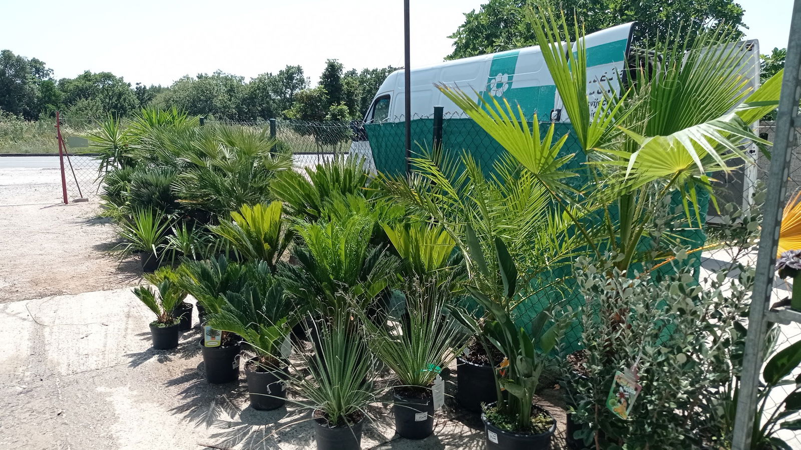 Rasadnik Flora Šibenik