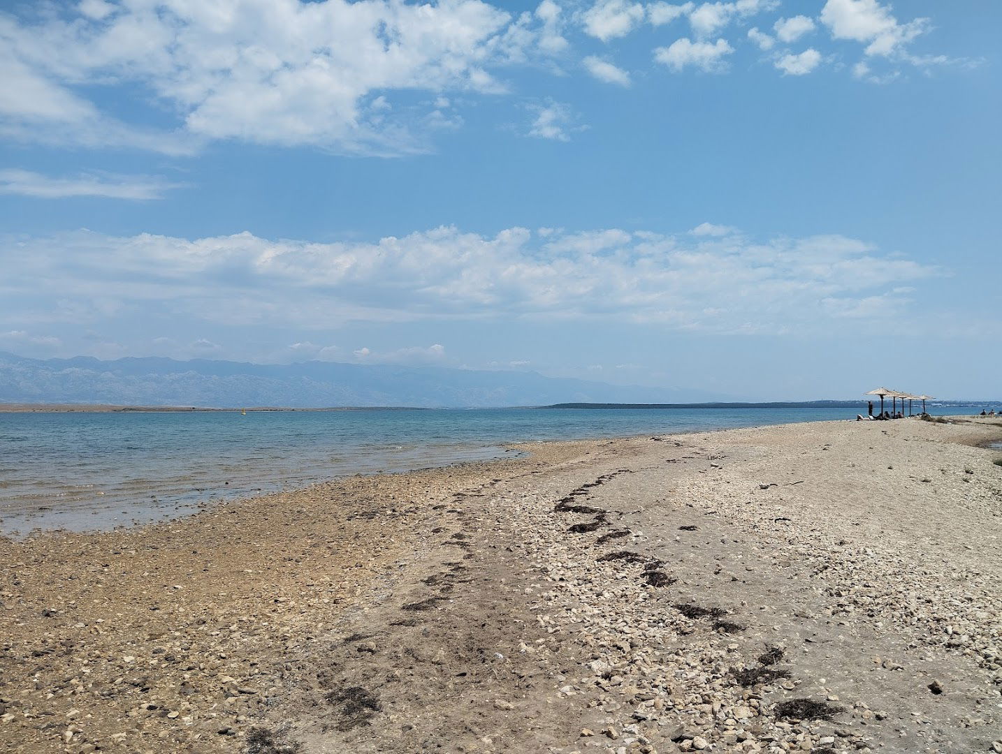 Pseća plaža Privlaka