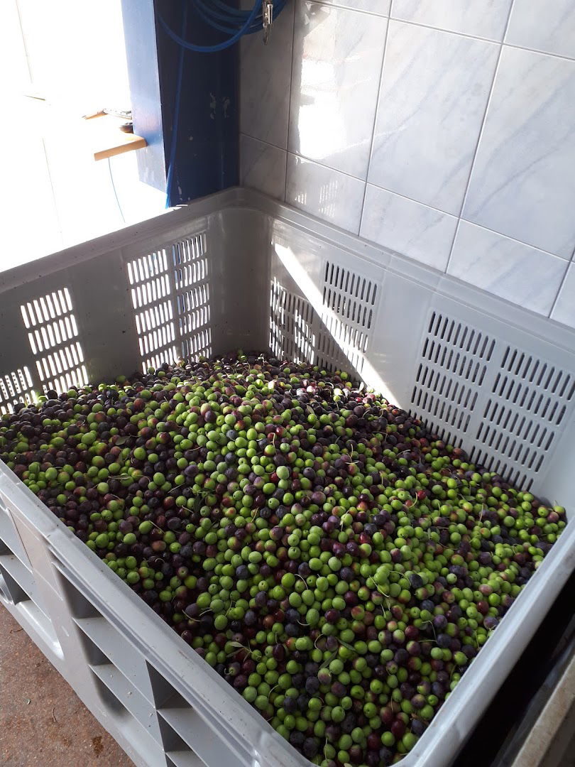 ULJARA NOVAK COMMERCE