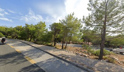 Autobusna stanica Šimuni bus station