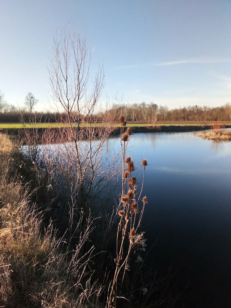 Šljunkara Bogosavac