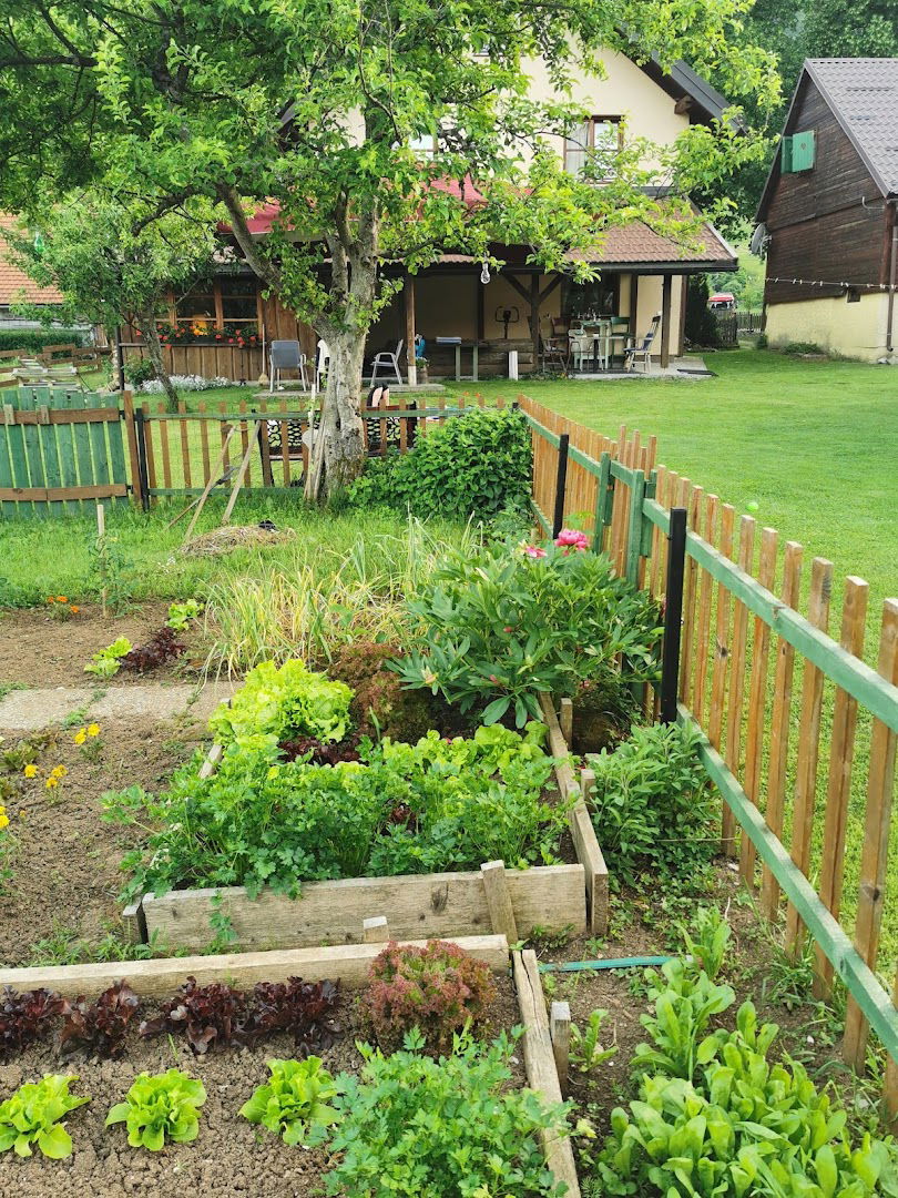 Apartments Bjelolasica