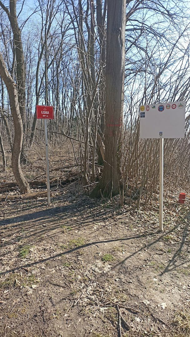 Liska, Najviši vrh Vukovarsko-srijemske županije