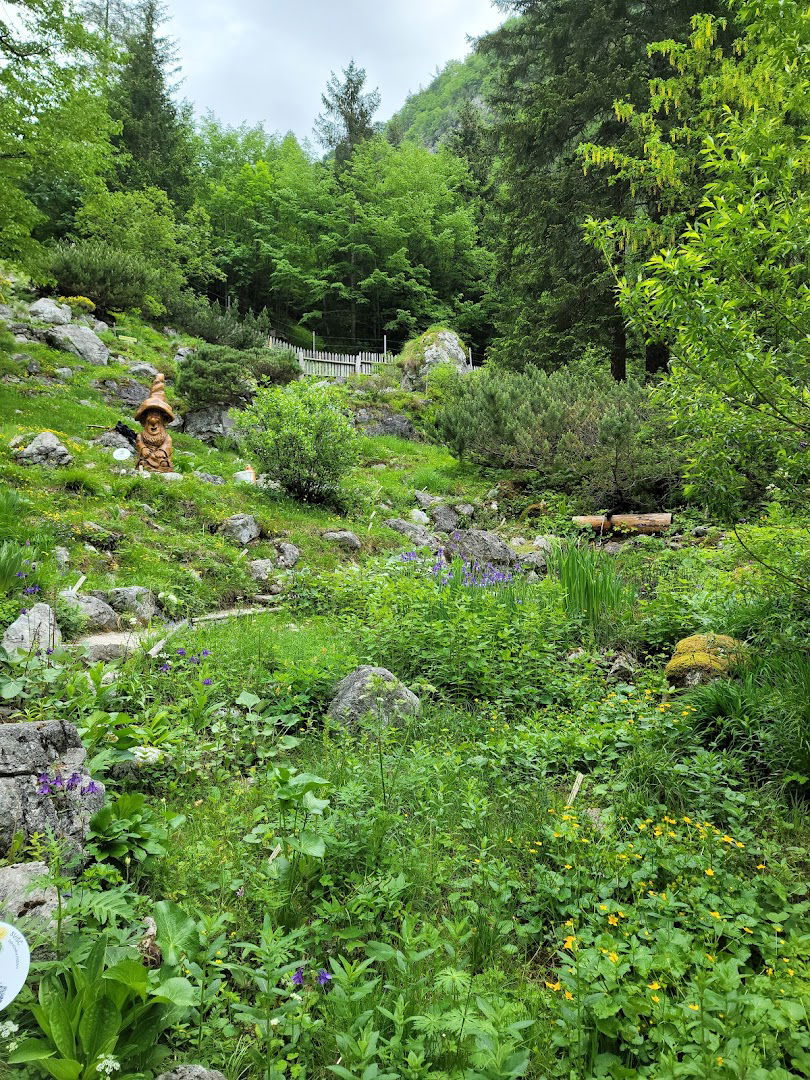 Juliana Alpine Botanical Garden