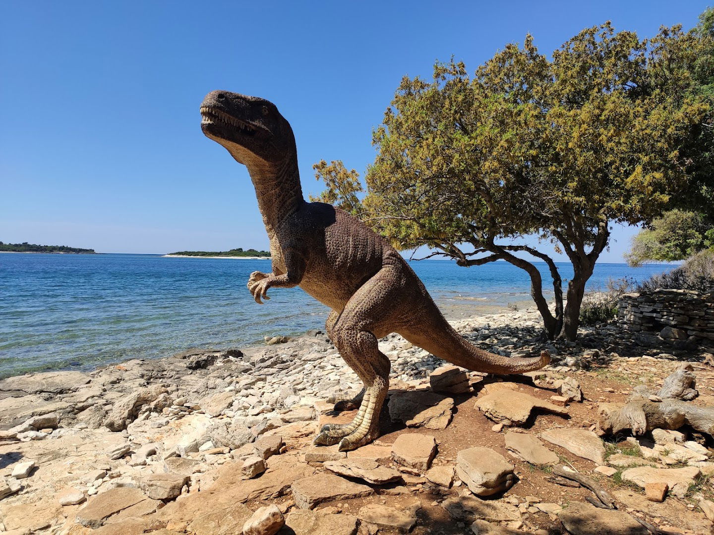 Park dinosaura, NP Brijuni